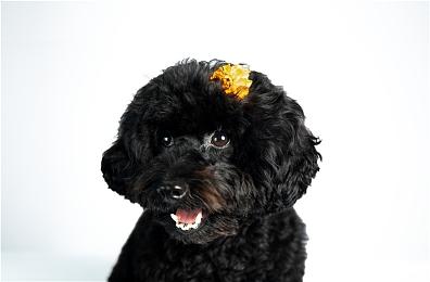 Steam开启叙事游戏数字盛典 140余款游戏参与折扣